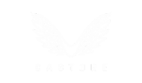Castore logo