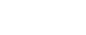 Castore logo